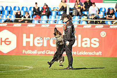 Tika van Arne`s Hoeve